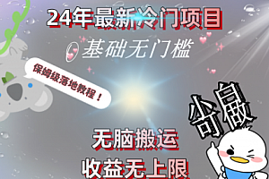 【第8698期】24年最新冷门项目,无脑搬运,收益无上限,轻松日入500+,保姆级落地教程