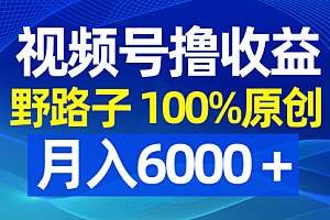 【第8771期】视频号野路子撸收益,100%原创,条条爆款,月入6000+