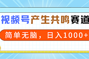 【第9123期】2024年视频号,产生共鸣赛道,简单无脑,一分钟一条视频,日入1000+