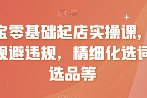【第8935期】淘宝0基础起店实操课,店铺规避违规,精细化选词及选品等
