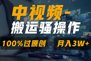 【第8948期】无脑双重去重原创视频,100%中视频+视频号分成计划