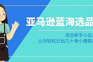 【第8949期】亚马逊-蓝海选品课:适合新手小白卖家,让你轻松日出几十单小爆款产品