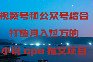 【第9063期】视频号和公众号结合打造月入过万的小说cps推文项目