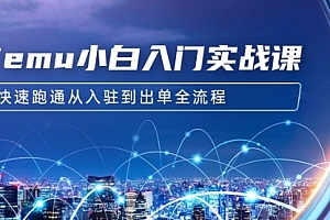 【第9258期】Temu小白入门实战课:跨境拼多多电商培训 快速跑通从入驻到出单全流程-12节