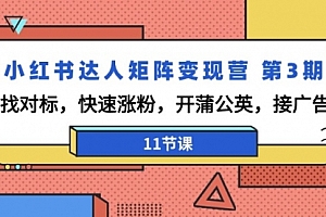 【第9183期】小红书达人矩阵变现营 第3期,找对标,快速涨粉,开蒲公英,接广告-11节课