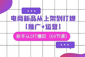 【第9266期】电商 新品从上架到打爆【推广+运营】,新手从0打爆款(69节课)