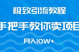 【第9232期】极致引流教程,手把手教你卖项目,月入10W+