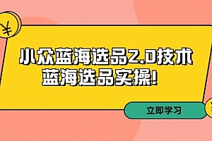 【第9195期】拼多多培训第33期:小众蓝海选品2.0技术-蓝海选品实操!