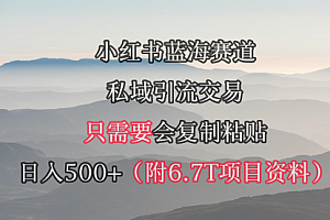 【第9415期】小红书短剧赛道,私域引流交易,会复制粘贴,日入500+(附6.7T短剧资源)