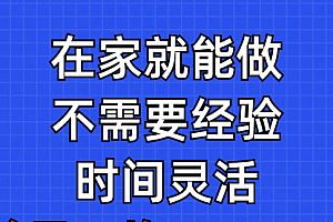 【第9520期】问卷调查项目,在家就能做,小白轻松上手,不需要经验