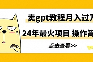 【第9172期】24年最火项目,卖gpt教程月入过万,操作简单