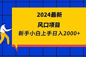 【第9419期】2024最新风口项目 新手小白日入2000+