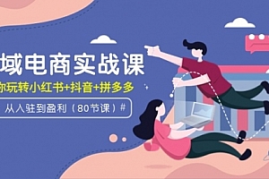 【第9467期】全域电商实战课:从入驻到盈利,带你玩转小红书+抖音+拼多多(80节课)