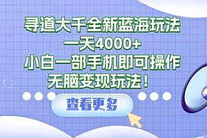 【第9423期】寻道大千全新蓝海玩法,一天4000+,小白一部手机即可操作