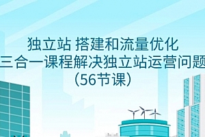 【第9156期】独立站 搭建和流量优化,三合一课程解决独立站运营问题(56节课)