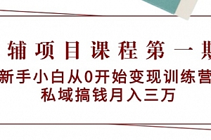【第9226期】教辅项目课程第一期:新手小白从0开始变现训练营 私域搞钱月入三万