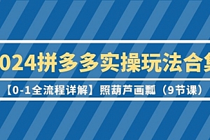 【第9496期】2024拼多多实操玩法合集【0-1全流程详解】照葫芦画瓢