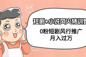 【第9330期】短剧+小说风火特训营,0粉短剧风行推广,月入过万(102节课)