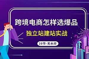 【第9335期】跨境电商怎样选爆品,独立站建站实战
