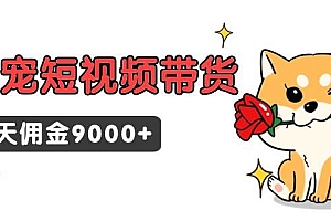 【第9253期】东哲日记·萌宠短视频带货,2天佣金9000+
