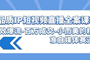 【第9519期】高品质 IP短视频直播-全案课程,有效爆流-百万成交-小而美的精准自媒体赛道