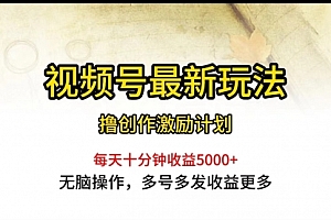 【第9919期】视频号最新玩法,每日一小时月入5000+