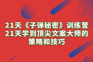 【第10012期】21天《子弹秘密》训练营,21天学到顶尖文案大师的策略和技巧