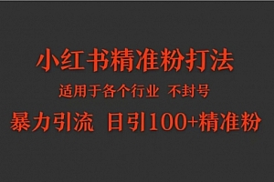 【第9679期】小红书各个行业适用的精准粉暴力引流打法 日引100+精准粉