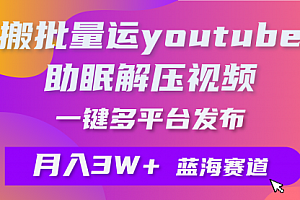 【第9629期】批量搬运YouTube解压助眠视频 一键多平台发布 月入2W+
