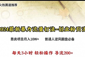 【第9969期】2024年最新暴力流量打法,每日导入300+,靠卖项目月入10W+