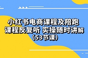【第9985期】小红书电商课程陪跑课 课程反复听 实操随时讲解 (53节课)