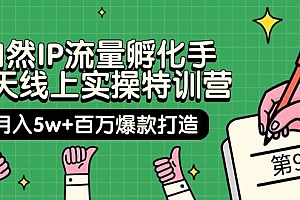 【第9745期】自然IP流量孵化手 14天线上实操特训营【第9期】月入5w+百万爆款打造