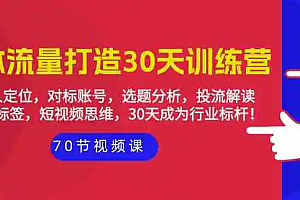 【第9691期】实体-流量打造-30天训练营:个人定位,对标账号,选题分析,投流解读-70节