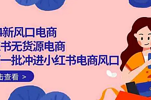 【第9960期】2024新风口电商,小红书无货源电商,带第一批冲进小红书电商风口(18节)