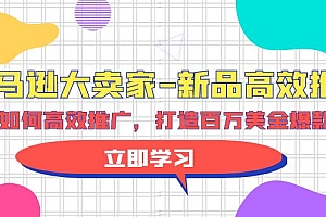 【第9823期】亚马逊 大卖家-新品高效推广,分享如何高效推广,打造百万美金爆款单品