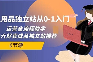 【第9924期】成人用品独立站从0-1入门,运营全流程教学,七大好卖成品独立站推荐-6节课
