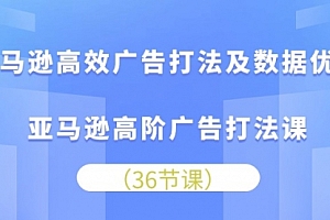 【第10341期】亚马逊 高效广告打法及数据优化,亚马逊高阶广告打法课(36节)
