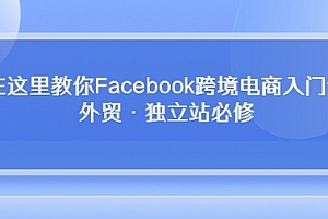 【第10055期】Facebook跨境电商入门课,外贸·独立站必修