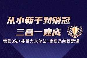 【第10457期】从小新手到销冠 三合一速成:销售3法+非暴力关单法+销售系统挖需课