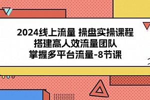 【第10212期】线上流量 操盘实操课程,搭建高人效流量团队,掌握多平台流量-8节课