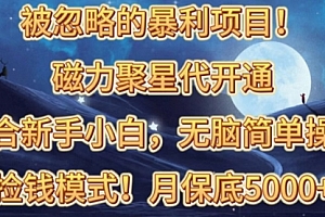 【第10018期】磁力聚星代开通捡钱模式,轻松月入五六千