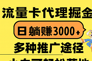 【第10428期】流量卡代理掘金,日躺赚3000+,首码平台变现更暴力