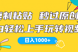【第10095期】视频号新玩法 小白可上手 日入1000+