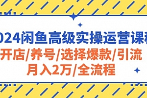 【第10396期】2024闲鱼高级实操运营课程:开店/养号/选择爆款/引流/月入2万/全流程