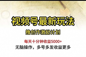 【第10299期】视频号最新玩法,每日一小时月入5000+