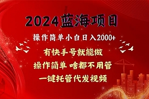 【第10375期】网盘拉新,操作简单小白日入2000+,一键托管代发视频