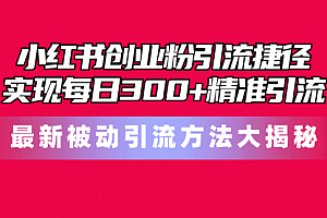 【第10376期】小红书创业粉引流捷径!最新被动引流方法大揭秘,实现每日300+精准引流