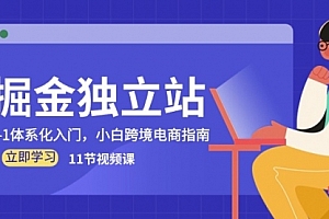 【第10263期】掘金独立站,0-1体系化入门,小白跨境电商指南(11节视频课)