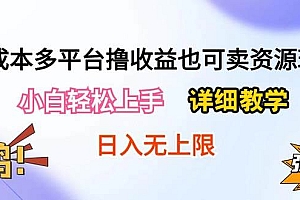 【第10068期】0成本多平台撸收益也可卖资源玩法,详细教学日入500+附资源