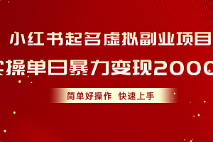 【第10492期】小红书起名虚拟副业项目,实操单日暴力变现2000+,简单好操作